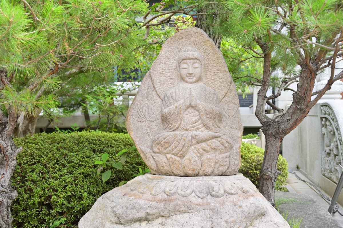 _DSC9683.JPG